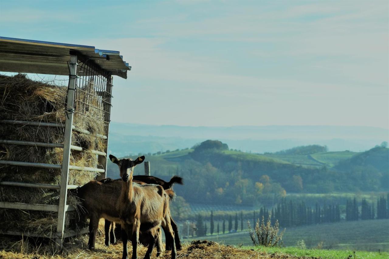 Agriturismo Fattoria Le Caprine ガンバッシ・テルメ エクステリア 写真