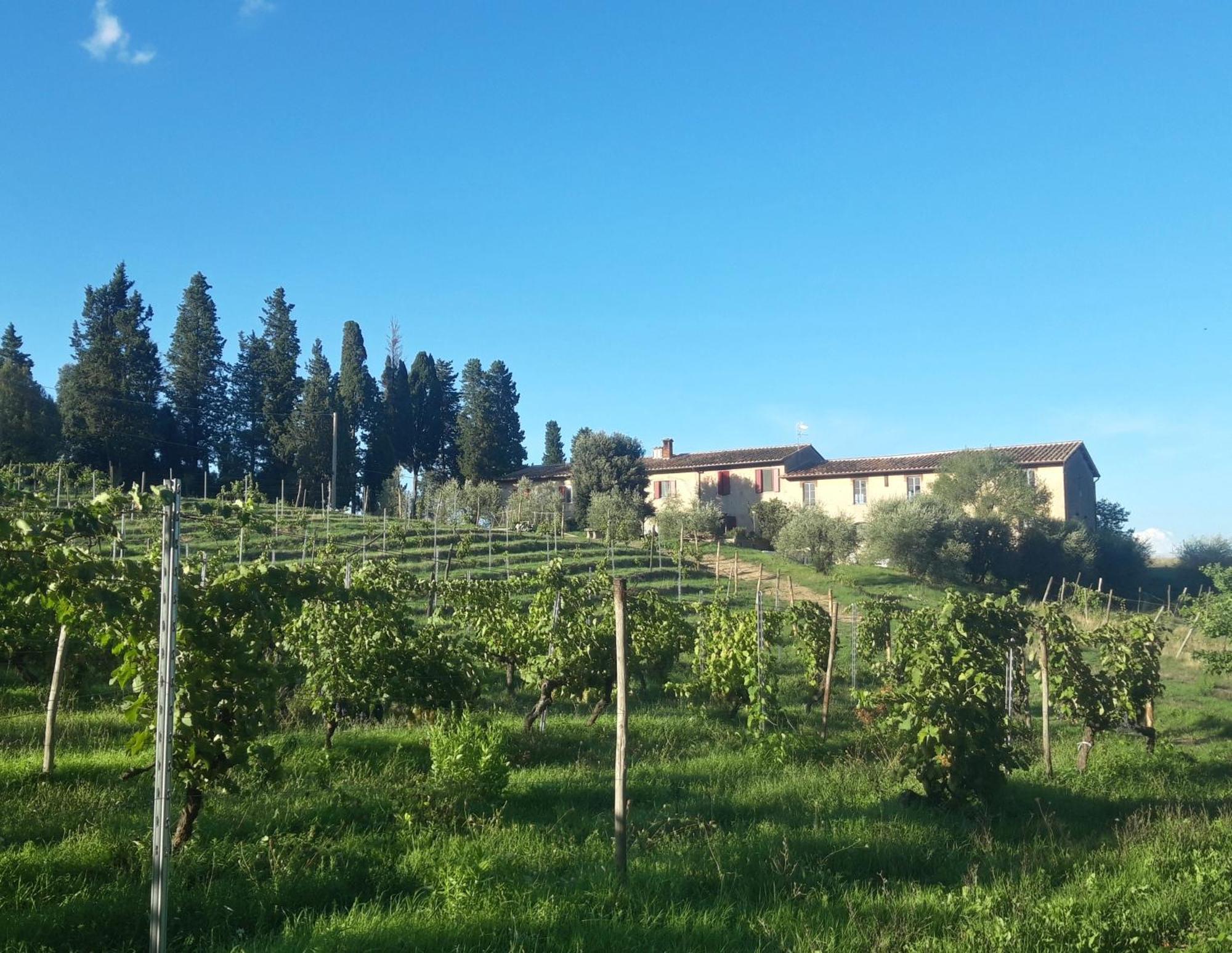 Agriturismo Fattoria Le Caprine ガンバッシ・テルメ エクステリア 写真