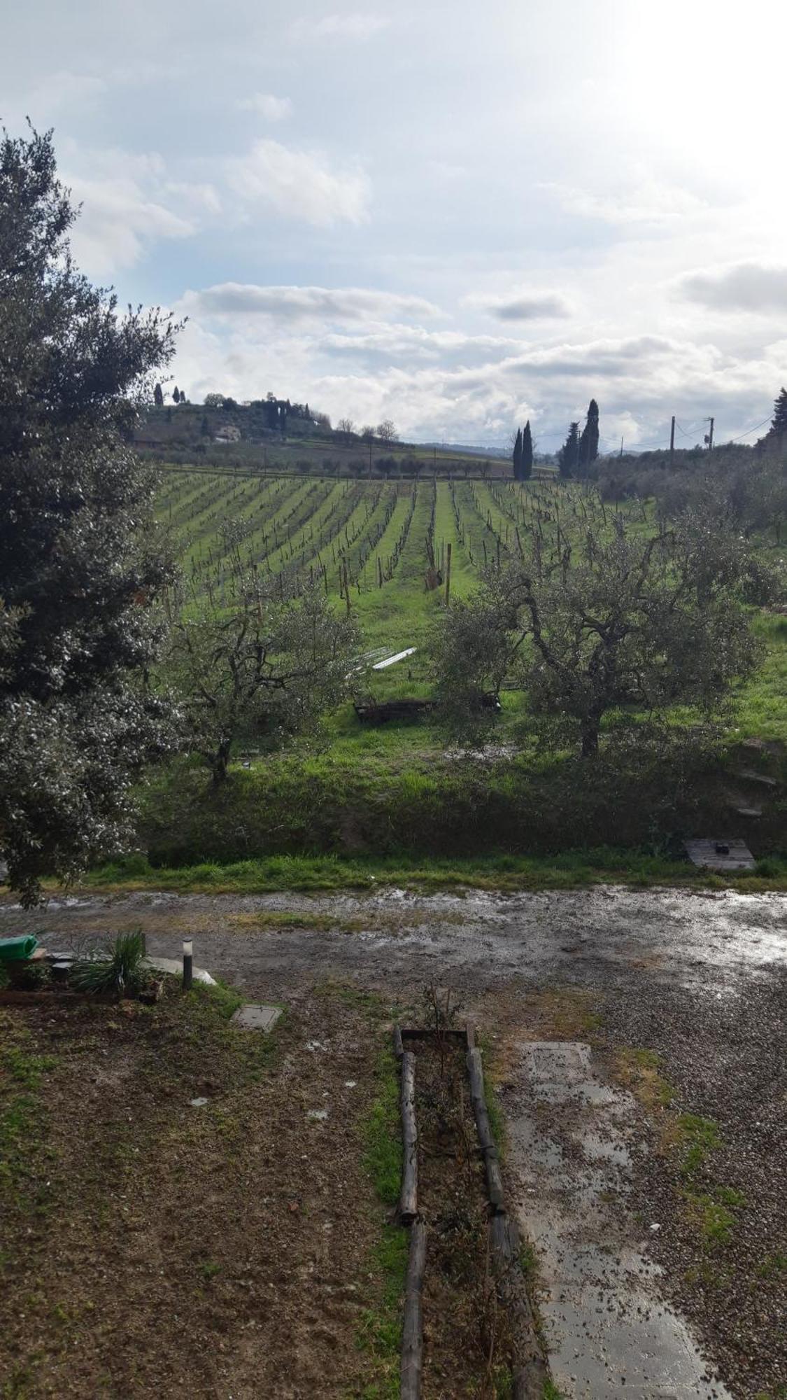 Agriturismo Fattoria Le Caprine ガンバッシ・テルメ エクステリア 写真